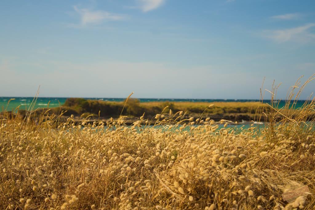 הוילה אוסטוני Borgo Degli Artisti מראה חיצוני תמונה
